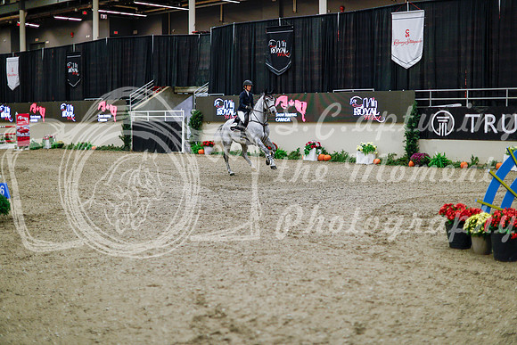 2025 - Haylee - Royal West - Thursday October 16th - 10840
