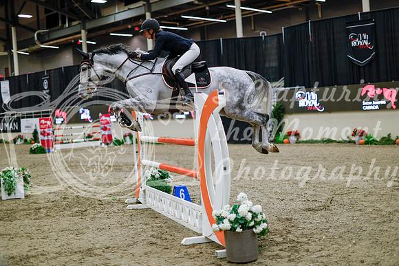 2025 - Haylee - Royal West - Thursday October 16th - 10855