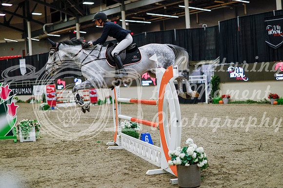 2025 - Haylee - Royal West - Thursday October 16th - 10856
