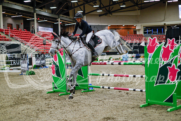 2025 - Haylee - Royal West - Thursday October 16th - 10864