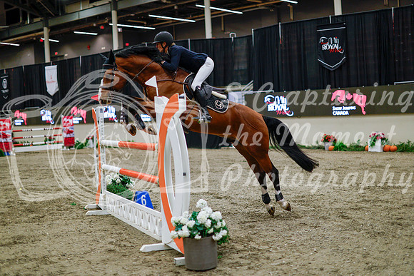 2025 - Haylee - Royal West - Thursday October 16th - 10996