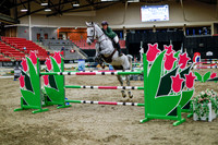 2025 - Haylee - Royal West - Thursday October 16th - 11170