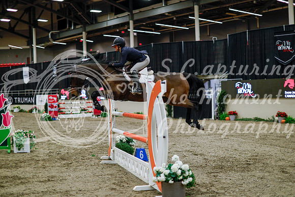2025 - Haylee - Royal West - Thursday October 16th - 11024