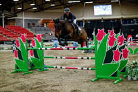 2025 - Haylee - Royal West - Thursday October 16th - 11027