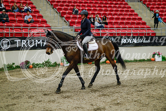 2025 - Haylee - Royal West - Thursday October 16th - 11035