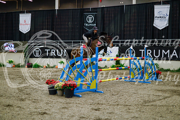 2025 - Haylee - Royal West - Thursday October 16th - 11079