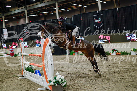 2025 - Haylee - Royal West - Thursday October 16th - 11089