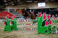 2025 - Haylee - Royal West - Thursday October 16th - 11094