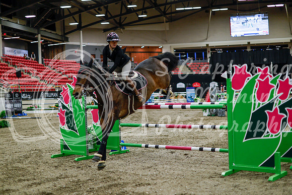 2025 - Haylee - Royal West - Thursday October 16th - 11098