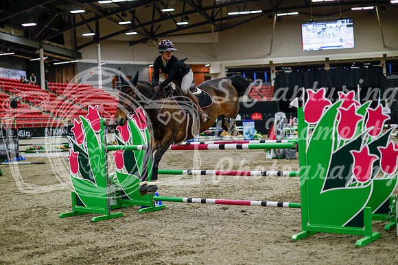 2025 - Haylee - Royal West - Thursday October 16th - 11097