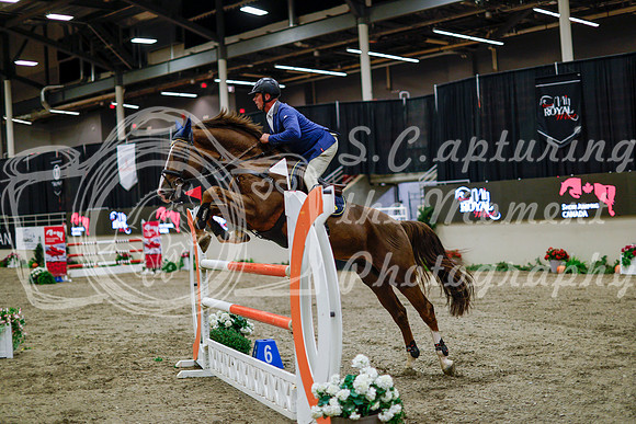2025 - Haylee - Royal West - Thursday October 16th - 10942