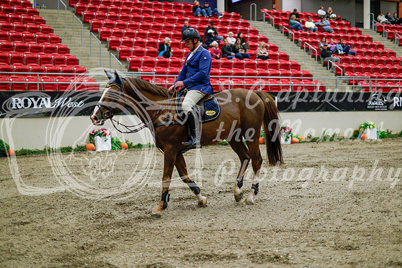 2025 - Haylee - Royal West - Thursday October 16th - 10954