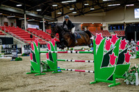 2025 - Haylee - Royal West - Thursday October 16th - 10922