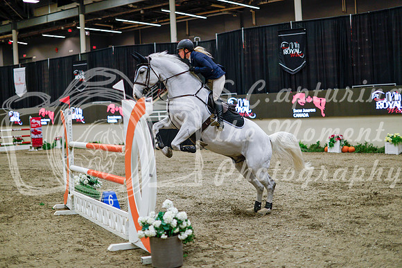 2025 - Haylee - Royal West - Thursday October 16th - 11051