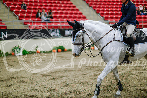 2025 - Haylee - Royal West - Thursday October 16th - 11077