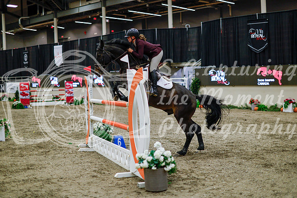 2025 - Haylee - Royal West - Thursday October 16th - 11138