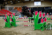 2025 - Haylee - Royal West - Thursday October 16th - 11142