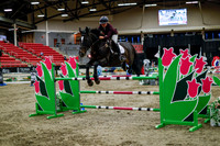 2025 - Haylee - Royal West - Thursday October 16th - 11144