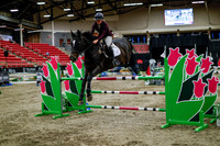 2025 - Haylee - Royal West - Thursday October 16th - 11145