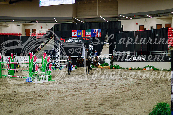2025 - Haylee - Royal West - Thursday October 16th - 11185