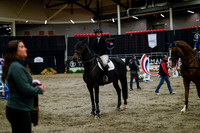 2025 - Haylee - Royal West - Thursday October 16th - 11193