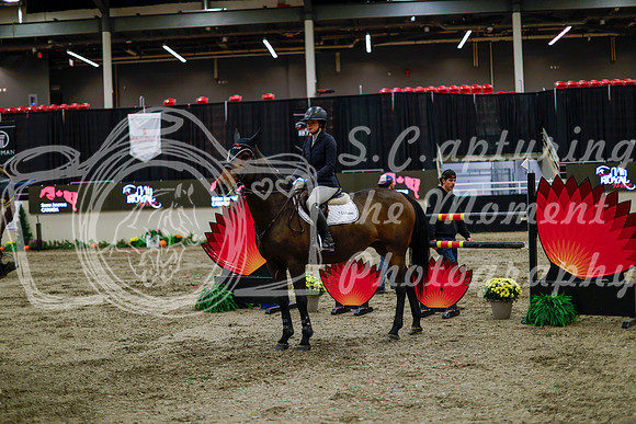 2025 - Haylee - Royal West - Thursday October 16th - 11198