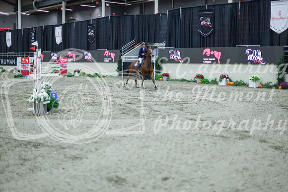 2025 - Shea - Royal West - Thursday October 16th - 11451