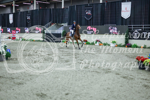 2025 - Shea - Royal West - Thursday October 16th - 11453