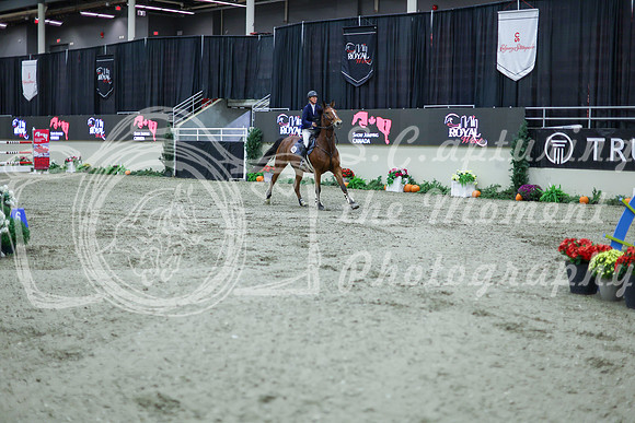 2025 - Shea - Royal West - Thursday October 16th - 11454