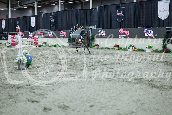 2025 - Shea - Royal West - Thursday October 16th - 11636
