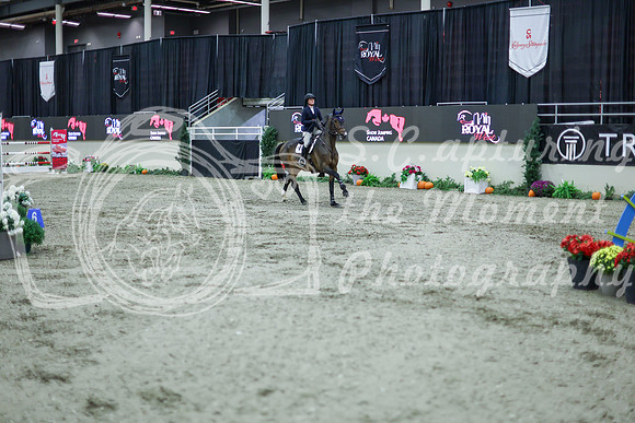 2025 - Shea - Royal West - Thursday October 16th - 11637