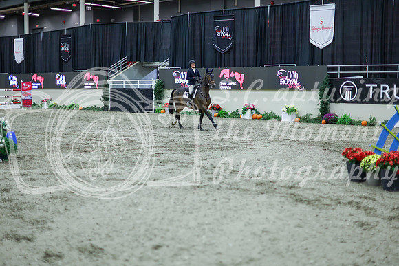 2025 - Shea - Royal West - Thursday October 16th - 11638