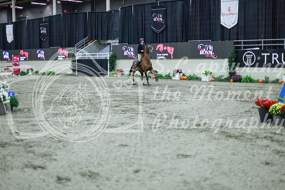 2025 - Shea - Royal West - Thursday October 16th - 11698