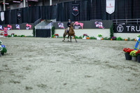 2025 - Shea - Royal West - Thursday October 16th - 11699