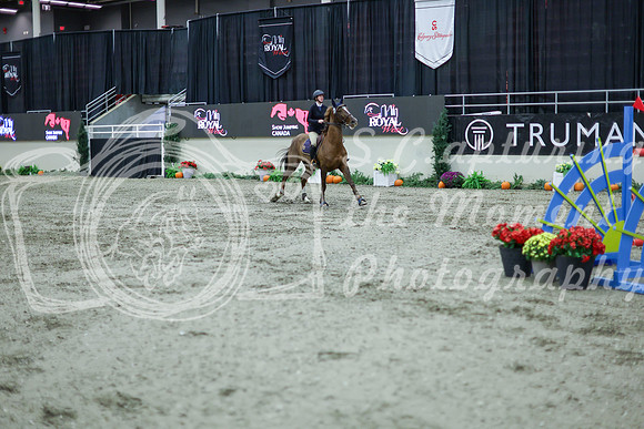 2025 - Shea - Royal West - Thursday October 16th - 11701
