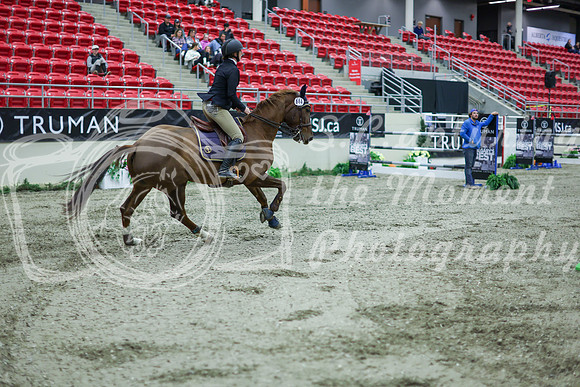 2025 - Shea - Royal West - Thursday October 16th - 11709