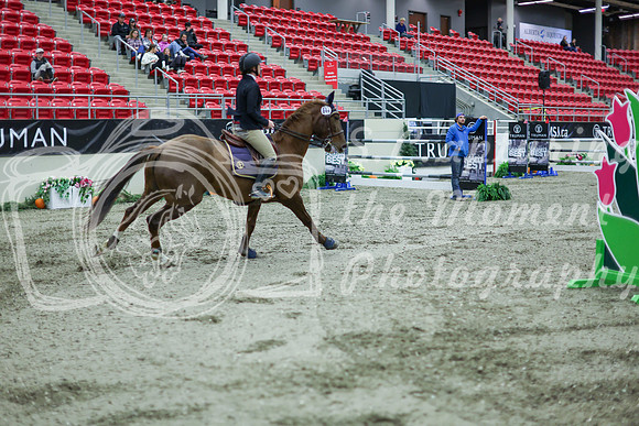 2025 - Shea - Royal West - Thursday October 16th - 11711
