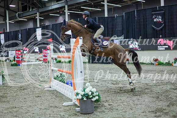 2025 - Shea - Royal West - Thursday October 16th - 11721