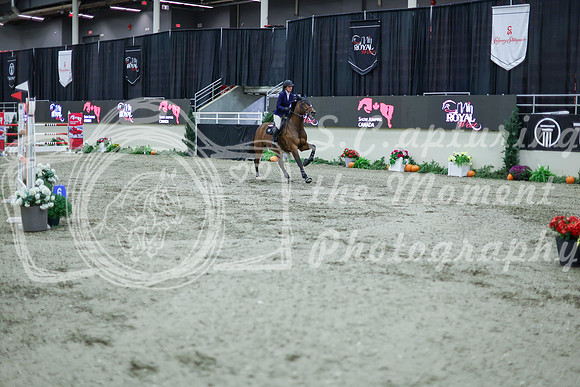 2025 - Shea - Royal West - Thursday October 16th - 11563