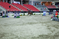 2025 - Shea - Royal West - Thursday October 16th - 11573