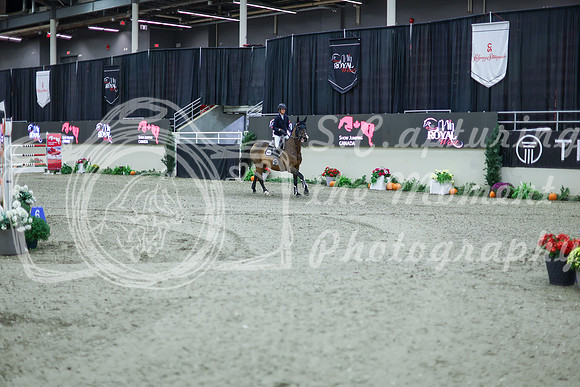 2025 - Shea - Royal West - Thursday October 16th - 11278