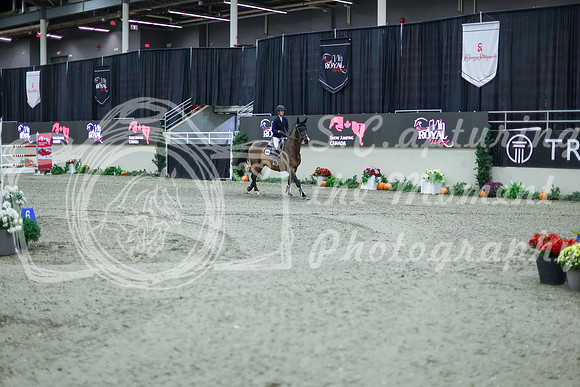 2025 - Shea - Royal West - Thursday October 16th - 11279