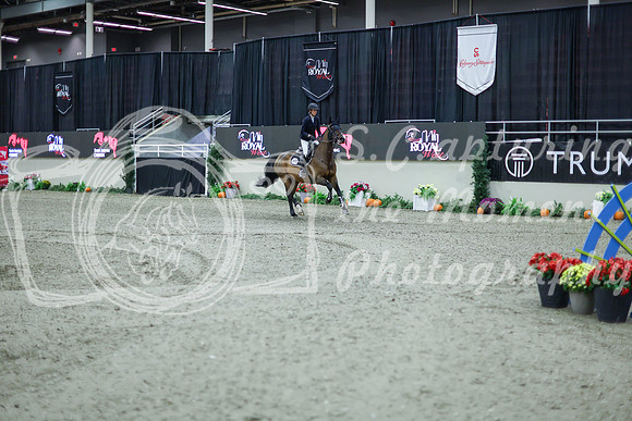 2025 - Shea - Royal West - Thursday October 16th - 11280