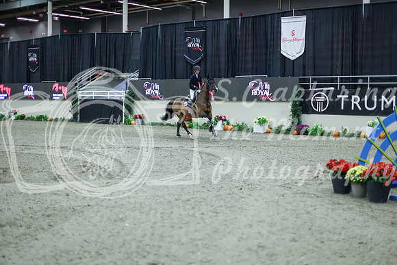 2025 - Shea - Royal West - Thursday October 16th - 11281