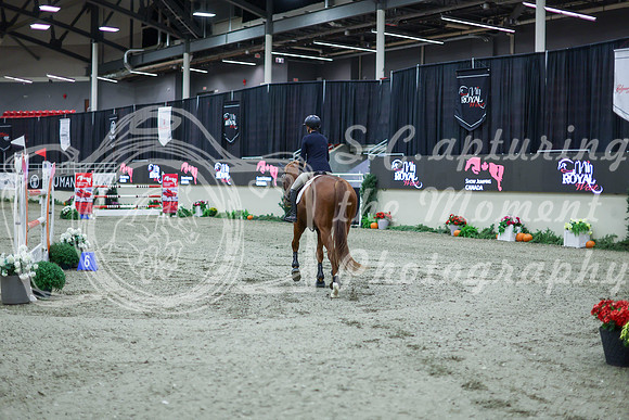 2025 - Shea - Royal West - Thursday October 16th - 11381