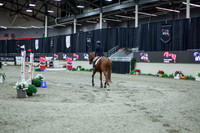2025 - Shea - Royal West - Thursday October 16th - 11383