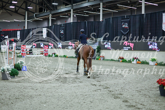 2025 - Shea - Royal West - Thursday October 16th - 11382
