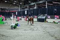 2025 - Shea - Royal West - Thursday October 16th - 11384