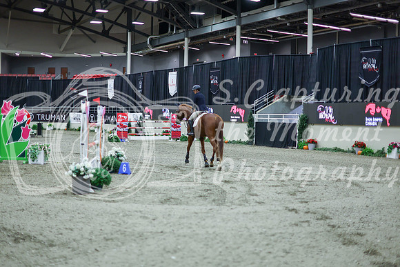 2025 - Shea - Royal West - Thursday October 16th - 11384
