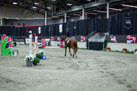 2025 - Shea - Royal West - Thursday October 16th - 11385